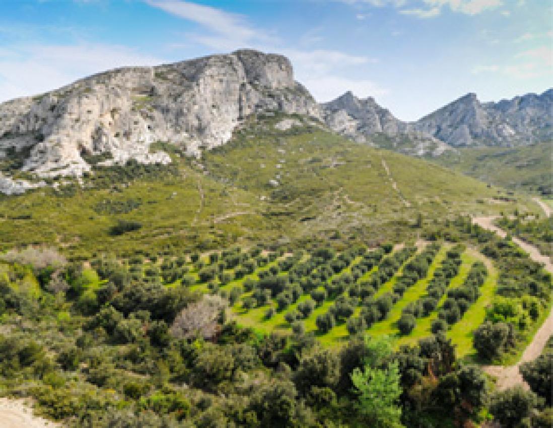 alpilles-terre-de-lumiegrave;re