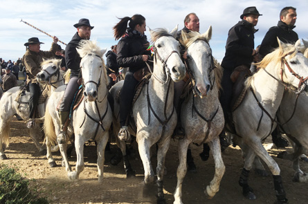 camargue-nature-amp;-caractegrave;re