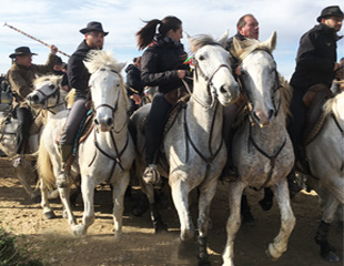 camargue-nature-amp;-caractegrave;re