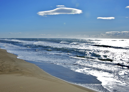 plages-et-farniente-en-camargue