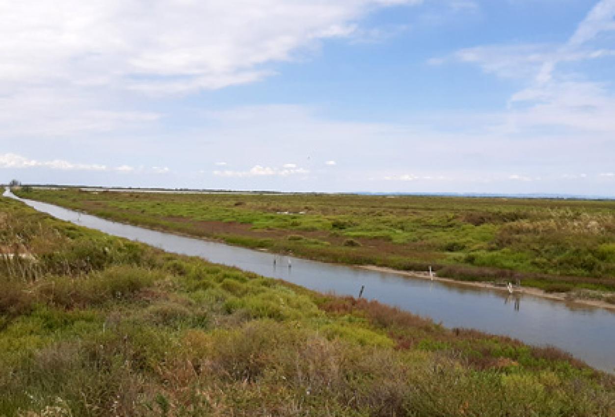 100-%-camargue