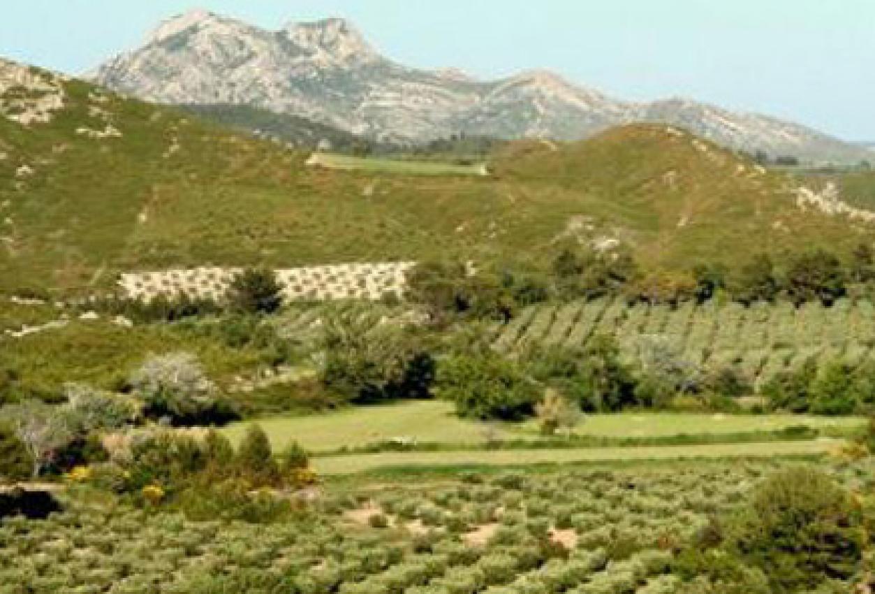 les-alpilles-vues-du-ciel