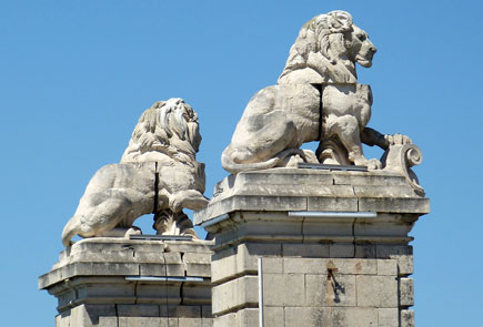 Les lions d'Arles
