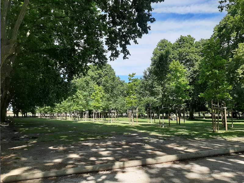 Le parc du centre ville - photo : rhinoferos