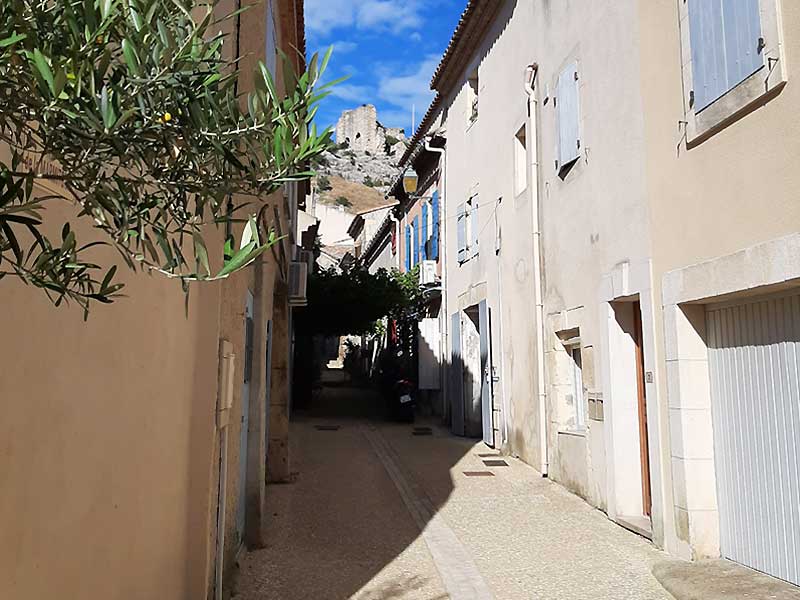 Vue du château au loin - photo : rhinoferos